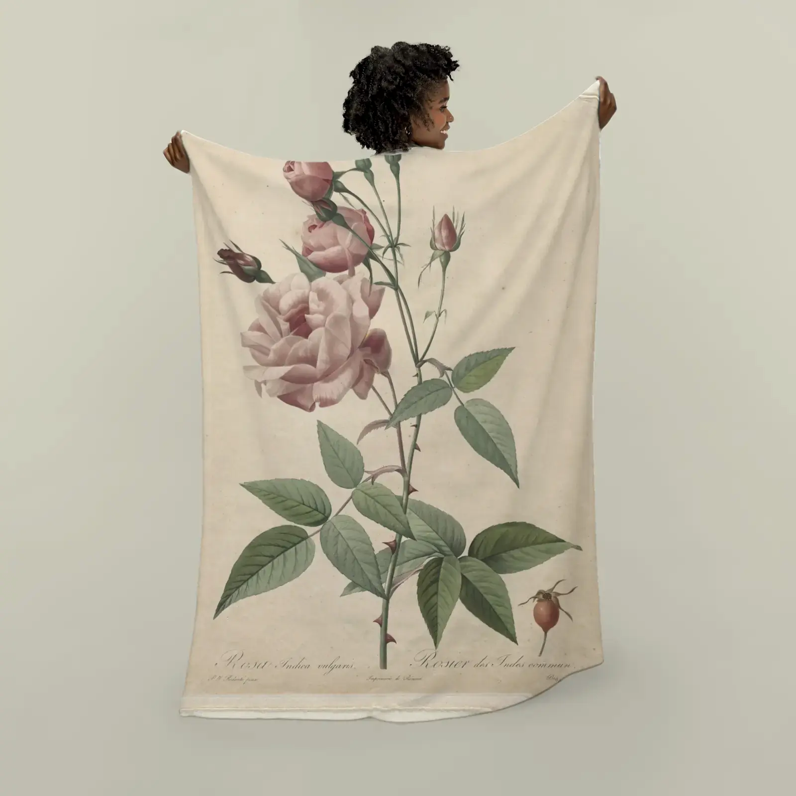 China or Bengal Rose, from Les Roses by Pierre-Joseph Redouté, printed on a plush blanket