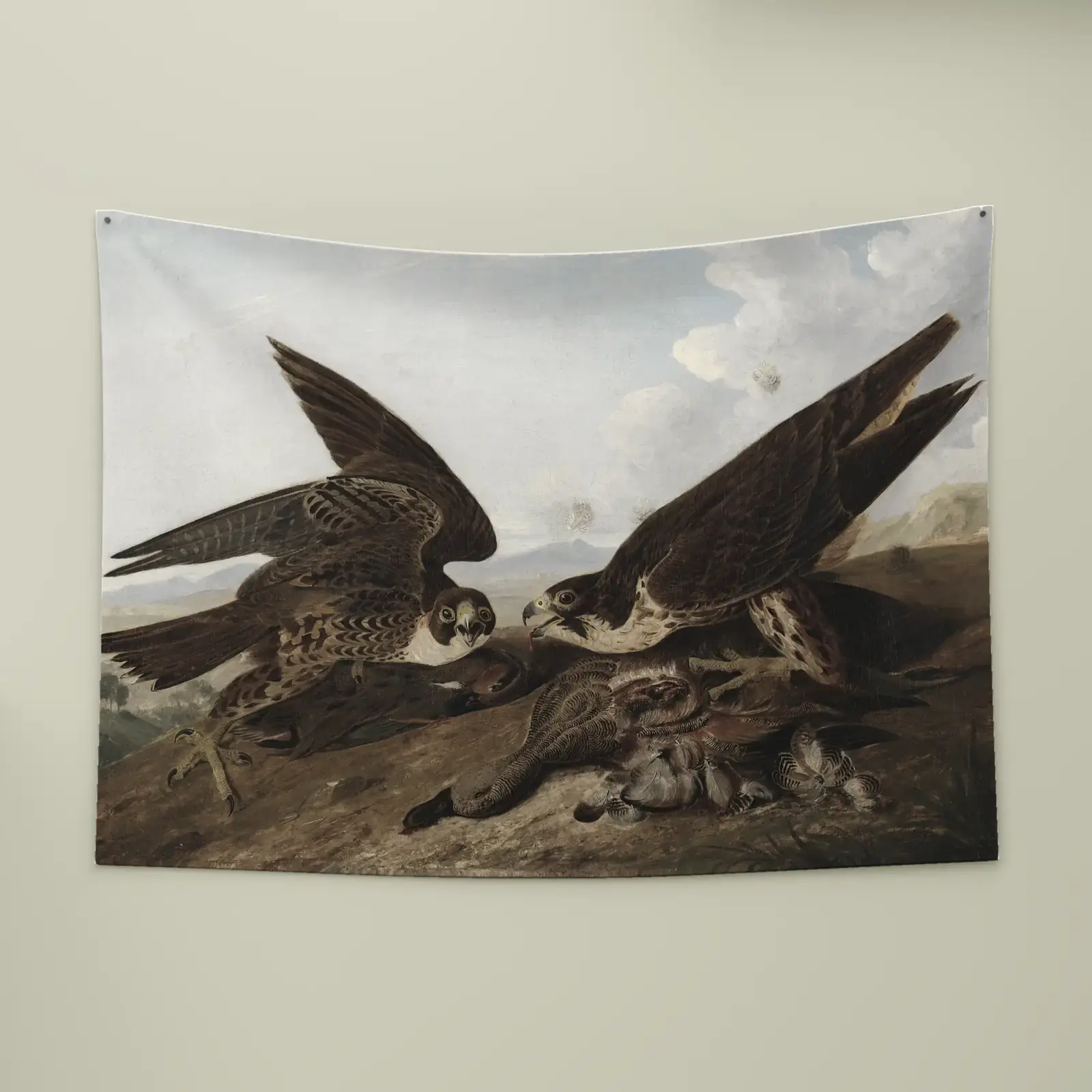 Peregrine Falcons (Duck Hawks) by John James Audubon, printed on a wall tapestry