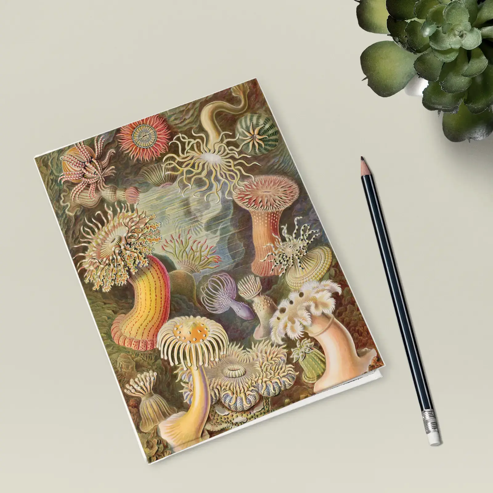 Actiniae (Sea Anemones), from Art Forms in Nature by Ernst Haeckel, printed on a hardcover journal