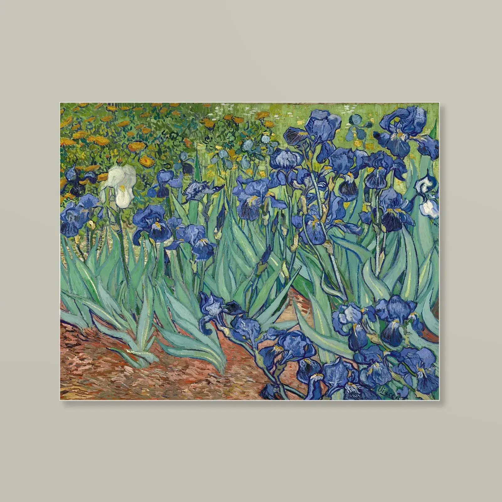 Irises by Vincent van Gogh, printed on a acrylic print