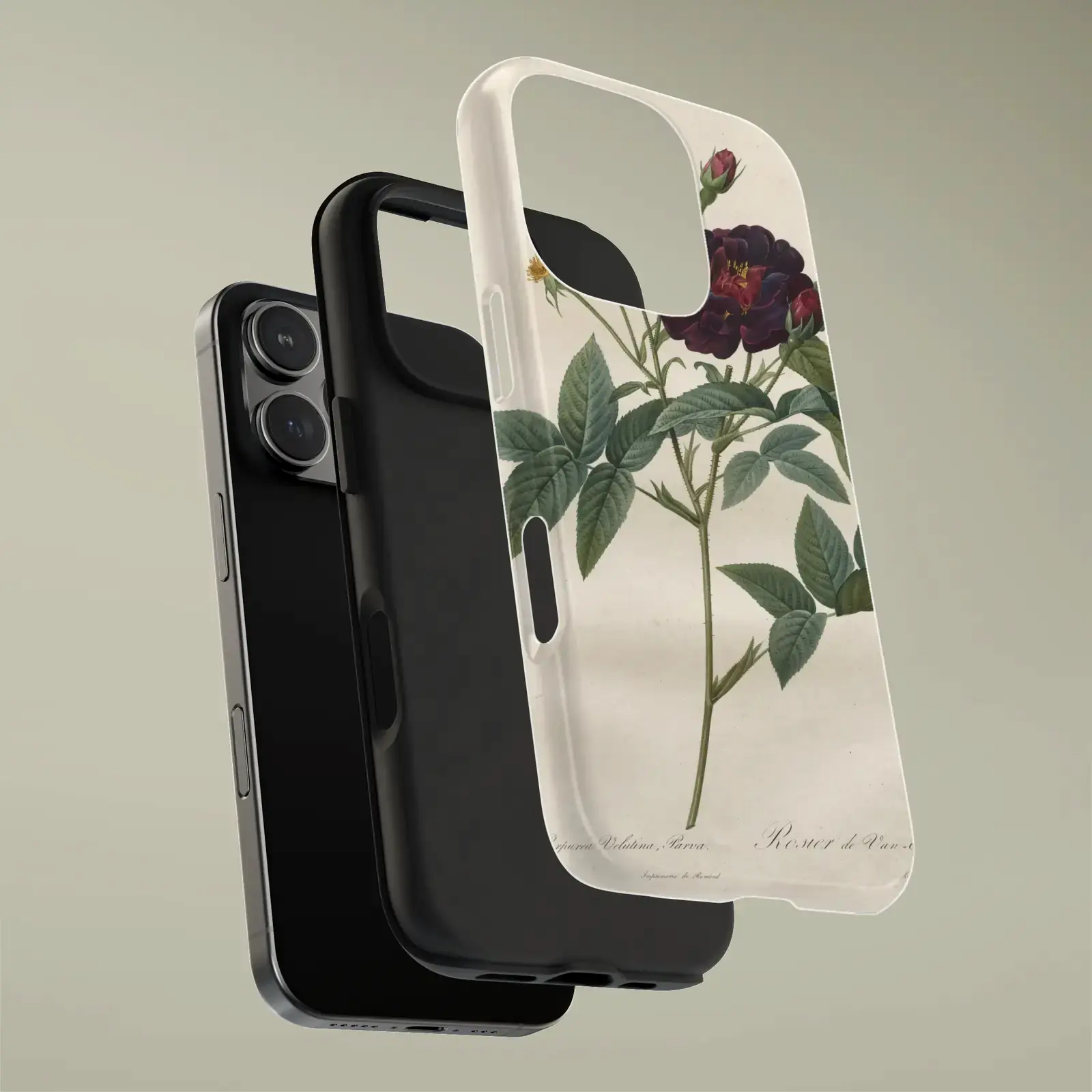 Rosa gallica purpurea velutina parva, from Les Roses by Pierre-Joseph Redouté, printed on a phone case