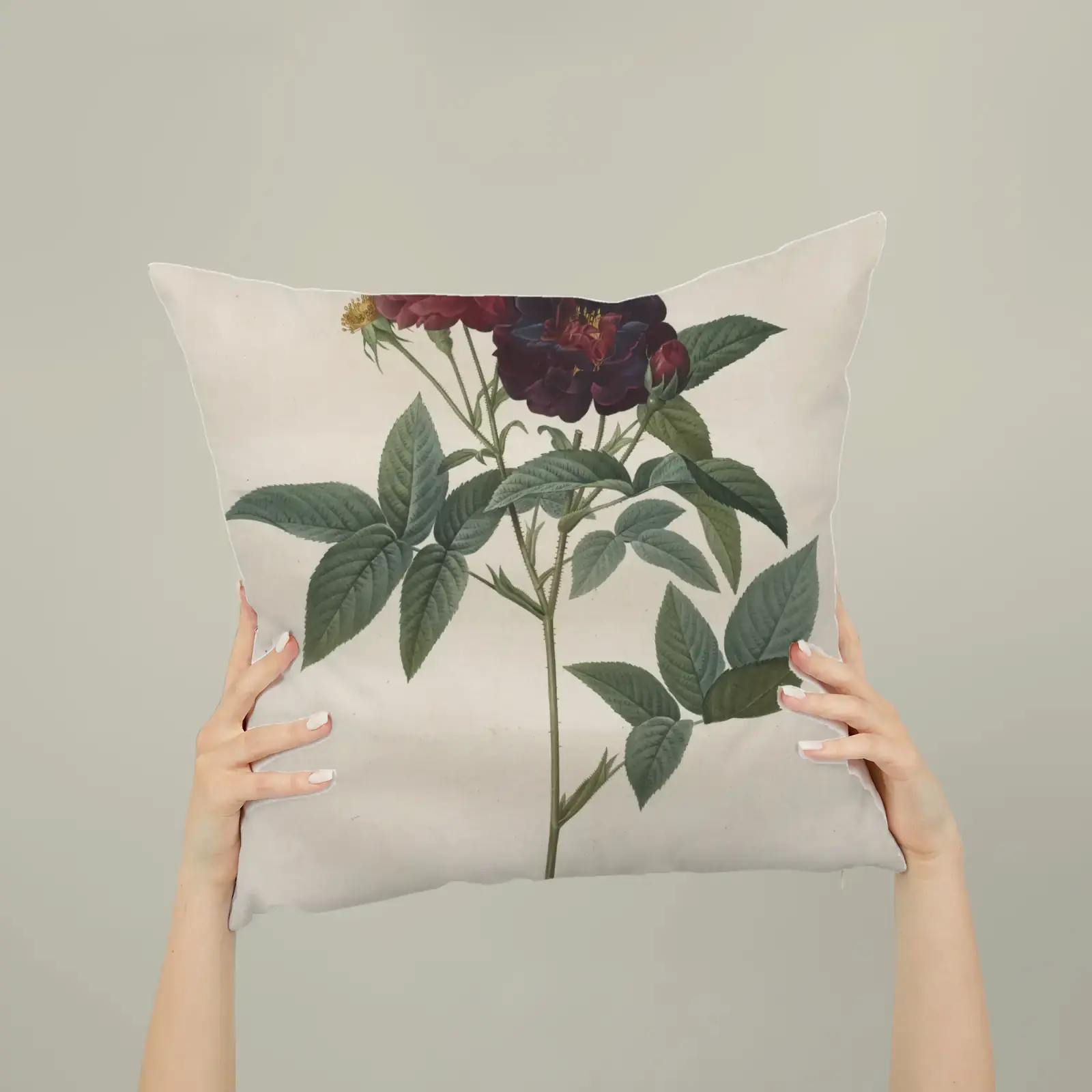 Rosa gallica purpurea velutina parva, from Les Roses by Pierre-Joseph Redouté, printed on a square pillow