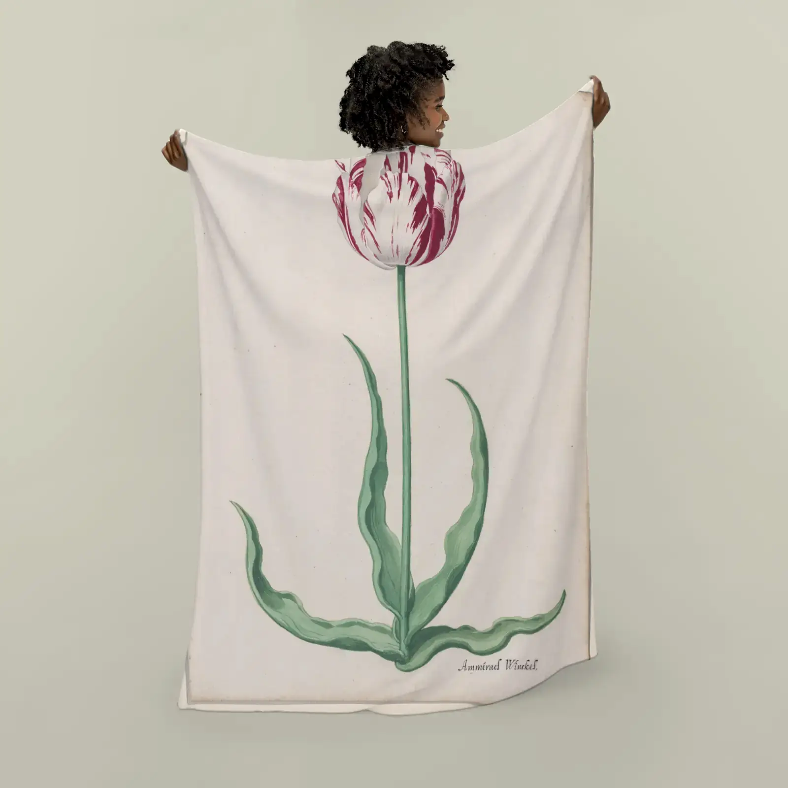 Study of a Tulip (Ammirael Winckel) by Pieter Holsteyn II, printed on a plush blanket