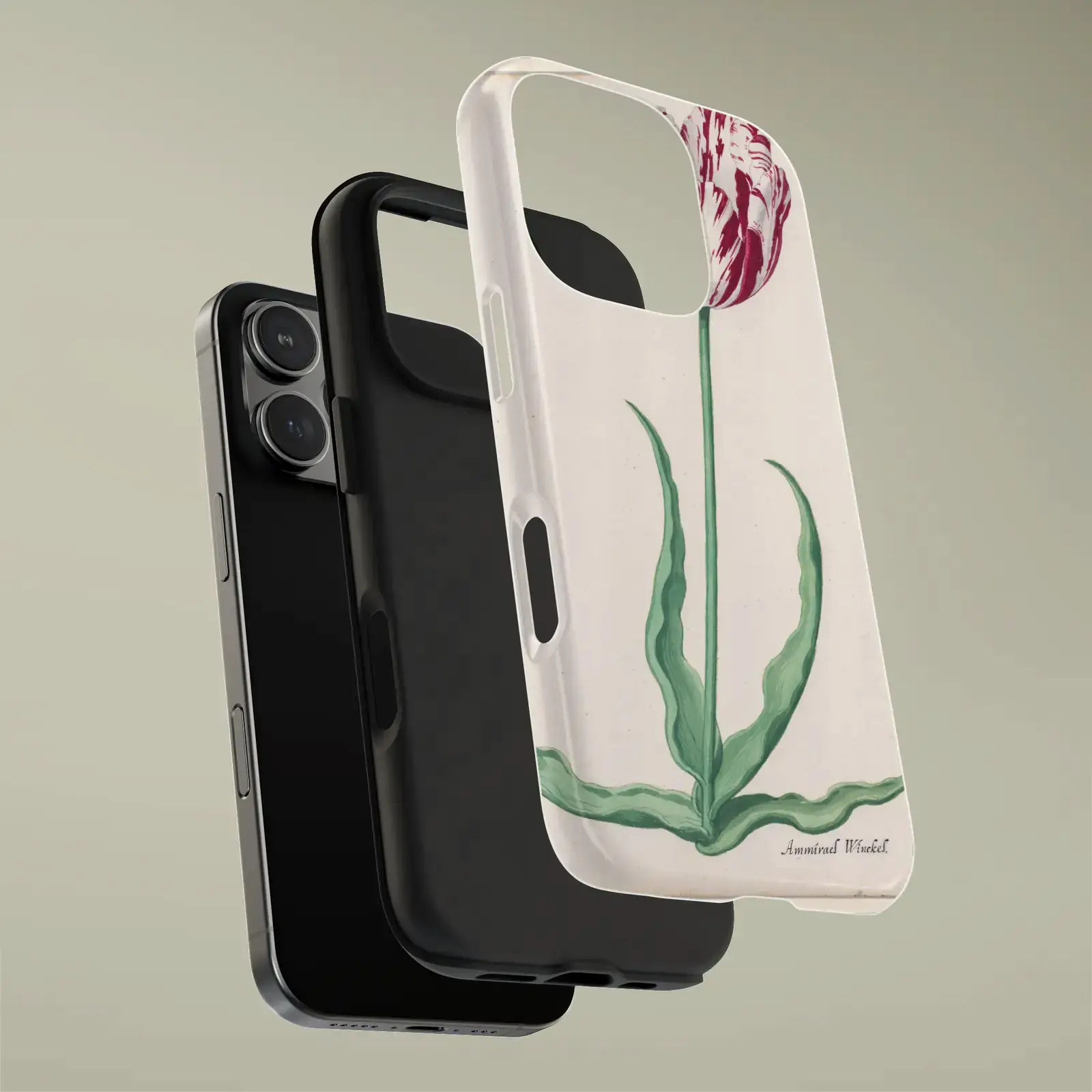 Study of a Tulip (Ammirael Winckel) by Pieter Holsteyn II, printed on a phone case