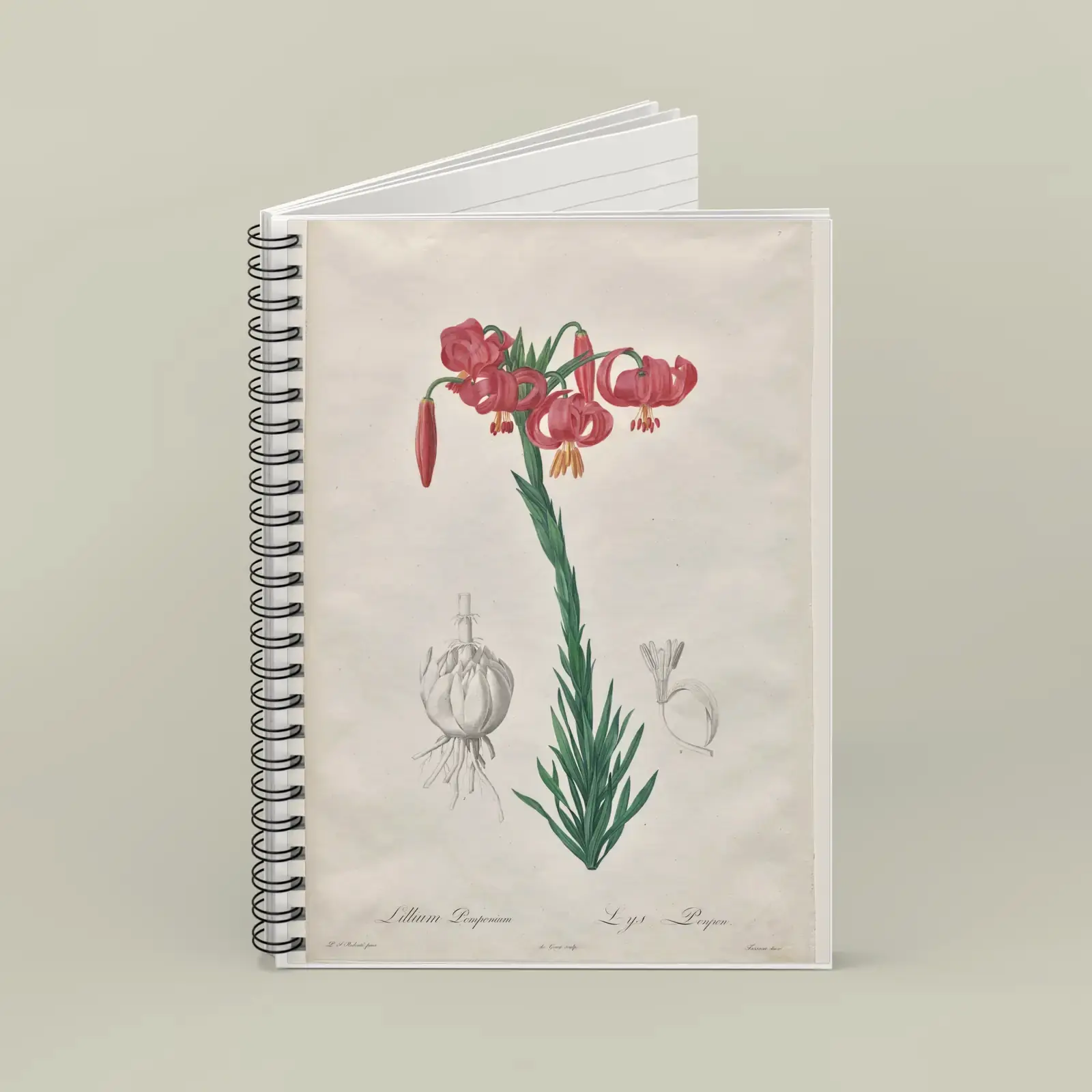 Turban Lily, from Les Liliacées by Pierre-Joseph Redouté, printed on a spiral notebook